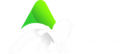 LionAbiola Technologies Logo
